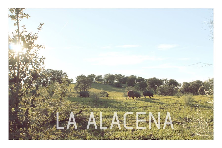 La alacena productos ibéricos