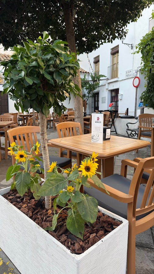 La Jamoteca De Morales