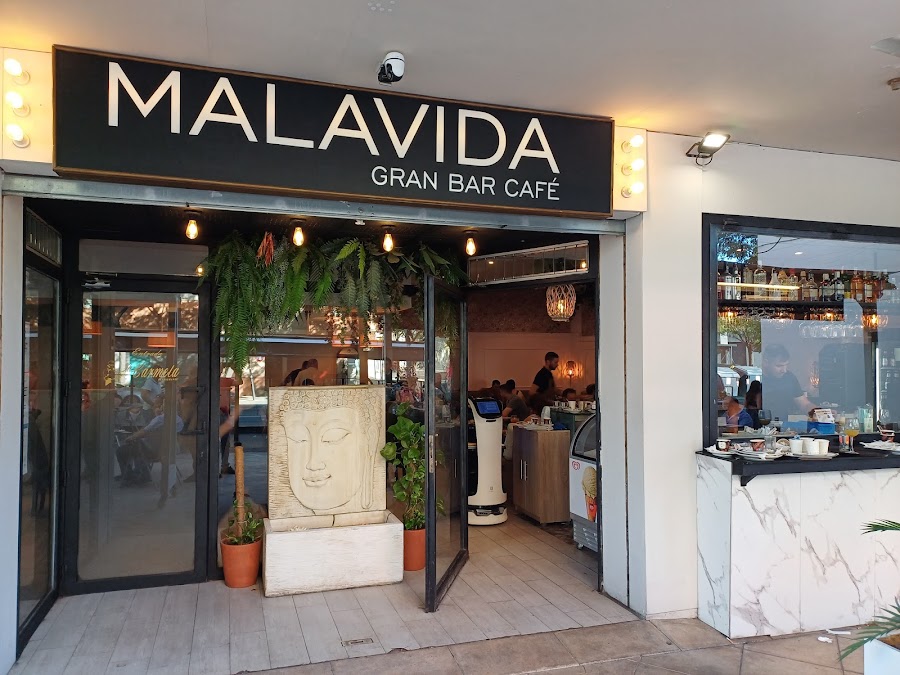 Malavida universidad