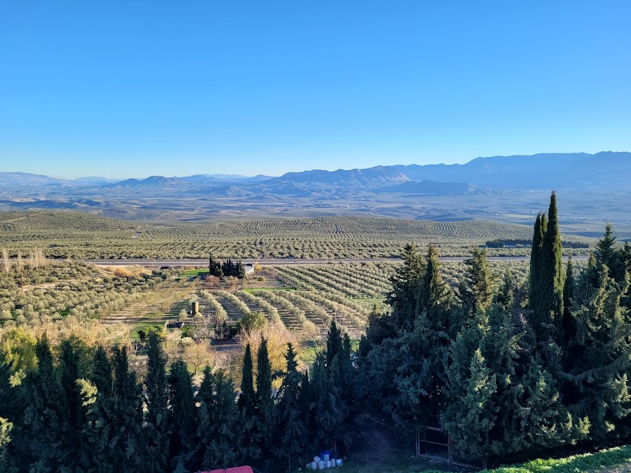 Mirador de las Murallas