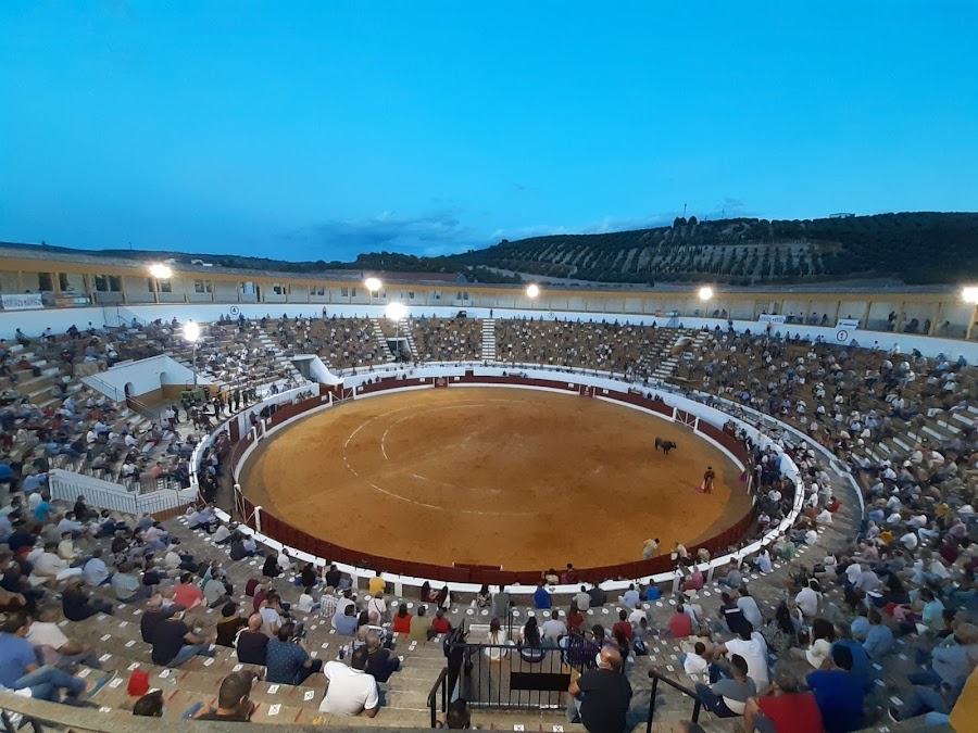 Plaza de Toros de Villanueva del Arzobispo