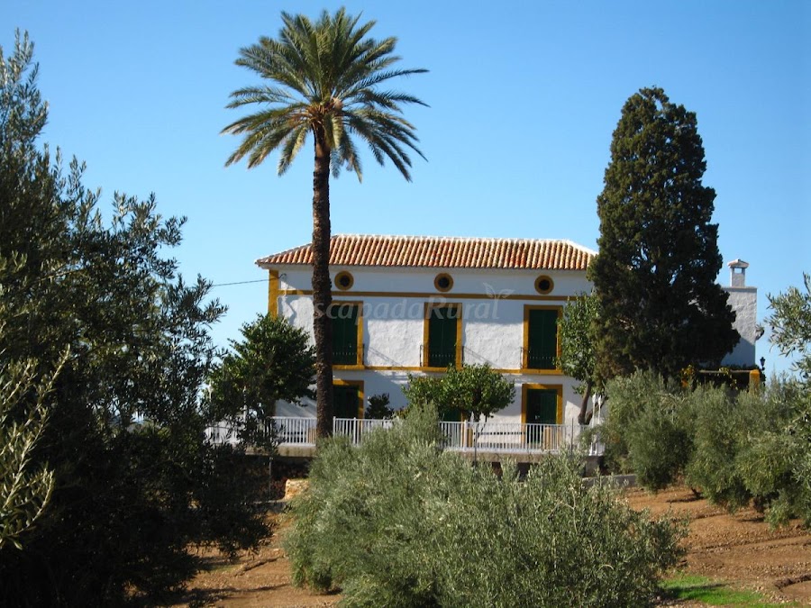 Cortijo el Serafín