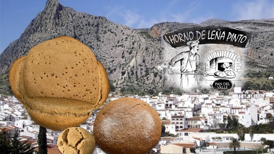 Horno de Leña Pinto