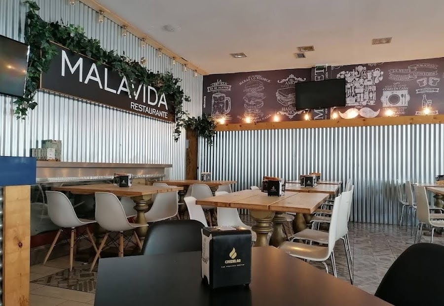 Malavida universidad