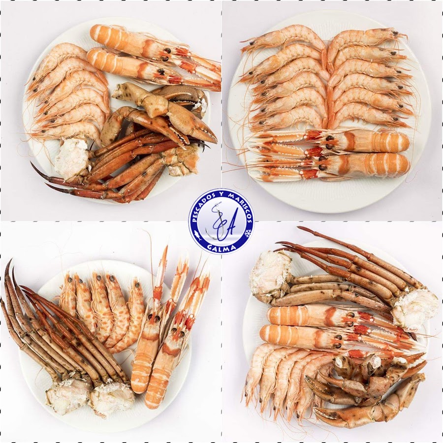 Pescados y Mariscos GALMA S.L.